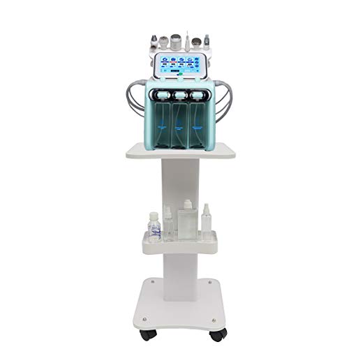 WUPYI Beauty Cart,Salon Roller Trolley Cart Stand Beauty Instrument Tray Rolling Cart with Wheel,Load 132lbs,Aluminum (Type 1)