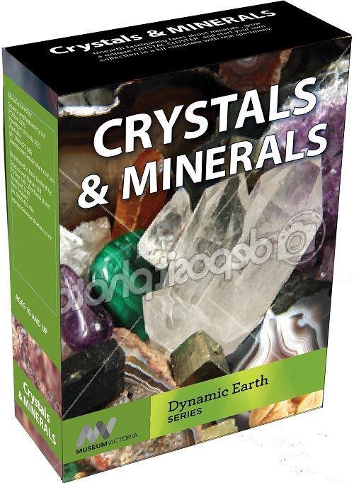 Dig Your Own Polished Gemstones Kit